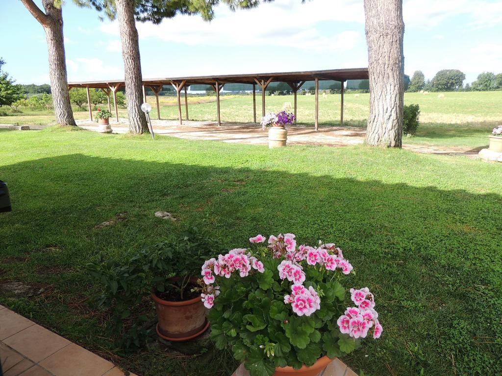 Agriturismo Valle Martina Saturnia Dış mekan fotoğraf